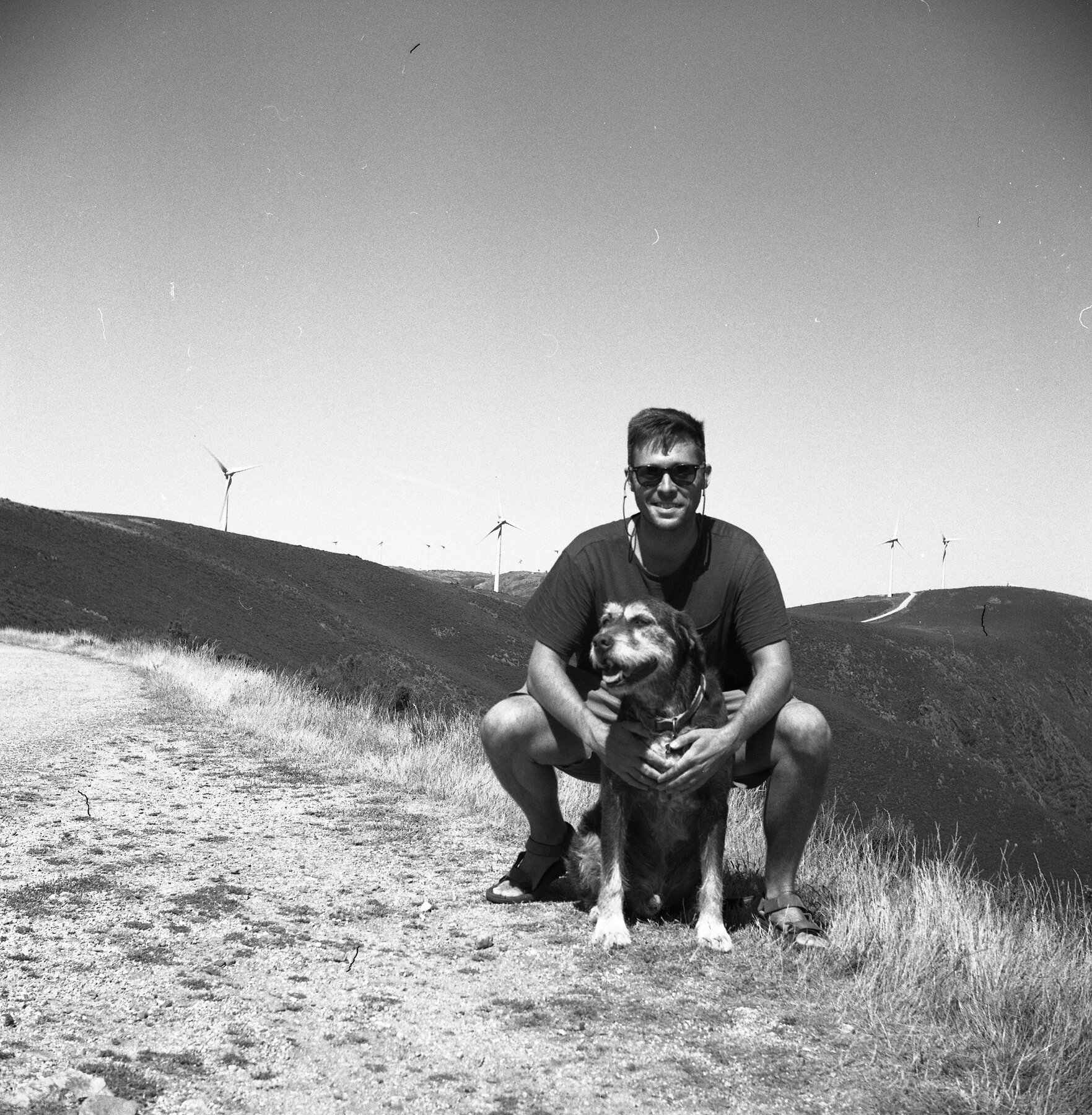 On the hilltop, medium format